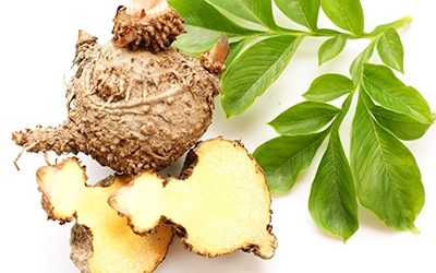 Glucomannan konjak